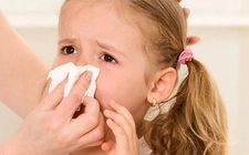 Üst Solunum Yolları Özellikleri ve Görevleri Üst Solunum Yolları Özellikleri ve Görevleri